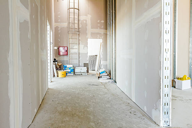 Best Fire-Damaged Drywall Repair  in Safford, AZ